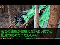 【感動する話】3歳の時に母が蒸発し父に育てられた俺。中学の時に父が再婚し弟が生まれた…10年後→結婚のために戸籍を確認した俺は顔面蒼白「は？まさか…嘘だろ！」【泣ける話】