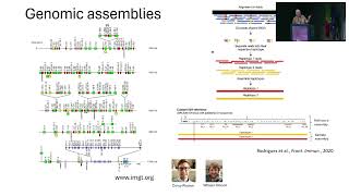 AIRRC7 - The rapidly changing world of IG/TR germline gene databases (W. Lees)