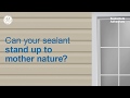 GE Sealants & Adhesives Window & Door Acrylic Video