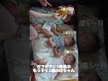 ガラガラに1番喜ぶもうすぐ2歳の姪ちゃん shorts 子育て こども かわいい 2歳 1歳