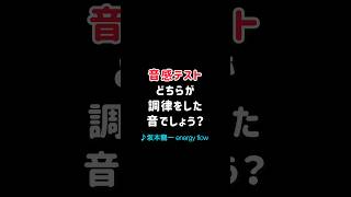 【音感テストVol.50】どちらが調律した音？坂本龍一energy flow