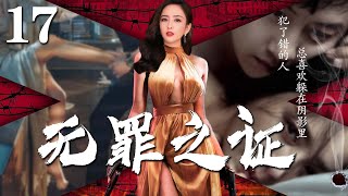 【精彩悬疑剧】无罪之证17丨主演：佟丽娅，郭京飞，于毅，张丰毅