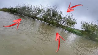 THE RIVER FLOODED THE FOREST AND THIS HAPPENED AT THE GOLDEN FISHING LAND