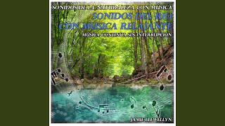 Sonidos de la Naturaleza Con Música: Sonidos del Rio Con Música Relajante