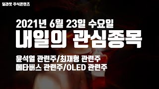 2021년 6월 23일 내일의 관심종목