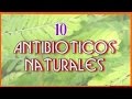 10 Increibles Antibióticos Naturales Que te Ayudaran a Enfrentar a Las Infecciones