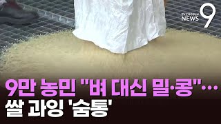 농민 9만명, 벼 대신 가루쌀·밀·콩 재배하기로…13만㏊ 직불제 신청