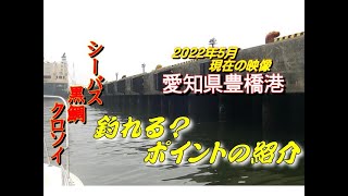 【海釣り情報】魅力がタップリの愛知県豊橋港！釣りポイント案内