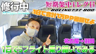 【ANA修行①】ダイヤモンド修行を本格始動!!1日で5フライトするぞ 737-800 / 名古屋→羽田