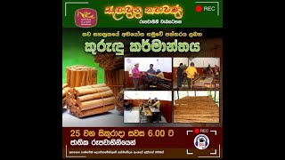 අභියෝග හමුවේ ගොඩනැගෙන කුරුඳු කර්මාන්තය Department of Export Agriculture