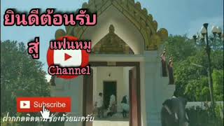 ลาบวชแบ่งบุญ  -ทศพล หิมพานต์