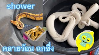 Good snake: อาบน้ำงู Ep.7