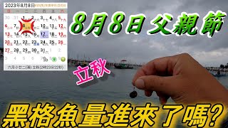 8/8父親節//立秋季節已到**黑格魚量進來了嗎?遇到西南氣流超強就像颱風天一樣**颳起一陣強風大雨---好險沒打龜#馬沙溝#蘆竹溝#黑鯛#黑格#筏釣#金寶螺#fishing