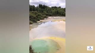 Yellowstone National Park-Grand Prismatic Hot Spring