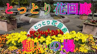 春の散策 4月1日 月曜 晴れ 桜ウィーク とっとり花回廊 憩いの場 日本 鳥取県西伯郡南部町鶴田 とっとり花回廊 @WalkingYoshi