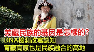 羌藏民族的基因是怎樣的？DNA檢測改寫認知，青藏高原也是民族融合的高地︱民族︱少數民族︱考古︱奇聞︱文物#風雲史記