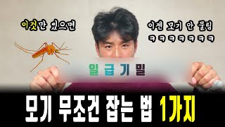 이제 모기 못 잡으면 바보입니다 | 모기잡는법 | 꿀팁 | 자취 |