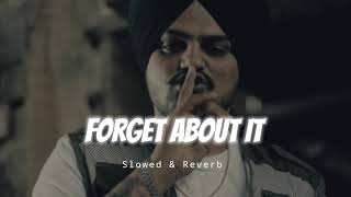 Forget About It - Slowed & Reverb - Sidhu Moose Wala