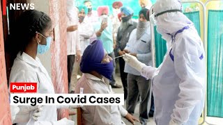 Punjab sees 1,410 new Covid cases, 13 deaths in just 11 days