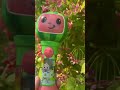 Just for Fun Singing Microphone CoComelon #funnyshorts #shortsviral #trending #satisfyingvideo #yt