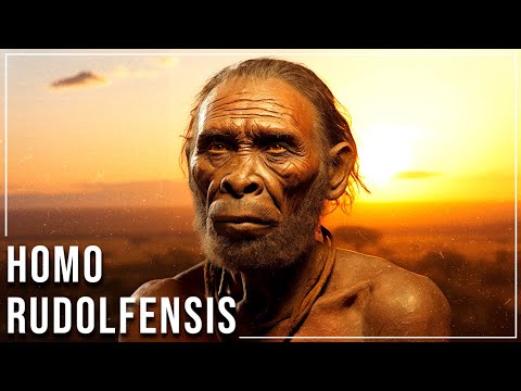 How did Homo rudolfensis get food?