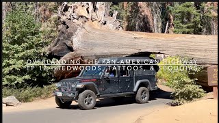 Overlanding the Pan-American Highway - Ep 12:  California wild camps, big trees, & tattoos.