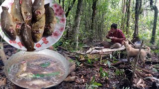 ស្ទូចត្រីក្រាញ់ធំៗកណ្ដាលព្រៃ FISHING CLIMBING PERCH IN THE WILD ON ISLAND 4K VIDEO