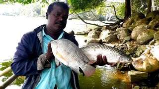 Traditional Net Fishing | Fishing in Hambegamuwa Lake | Sri Lanka  🇱🇰