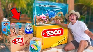 Buying $5 vs $500 Live Sea Creature Mystery Boxes