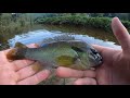 whopper ploppin for smallmouth bass creek fishing