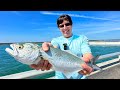 Caught Dinner for 4 at Matanzas Inlet Bridge❗️