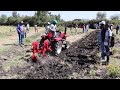 small hp tractor demo ethiopia