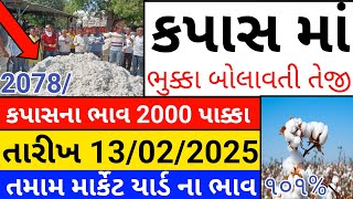 Kapas na bhav | 13-02-2025 | કપાસના ભાવ:2025 | Information about Cotton Crop Price | Commodity