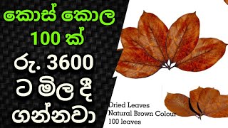 swayan rakiya at home 2024|| ස්වයං රැකියා