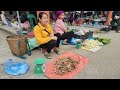 harvesting turmeric to sell at the market and cleaning the farm daily life lý thị viện