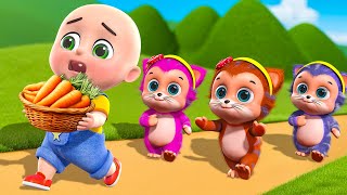 Baby Kittens Chasing Baby Bobo for Carrot Song New Compilation | Animals Farm | Cartoon \u0026 Kids Songs