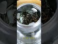 神奇的煮茶器 tea teapot 茶 旅行茶具 禪 茶文化