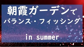 朝霞ガーデンでバランスフィッシング　in summer