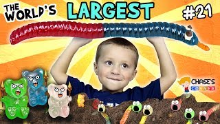 Chase's Corner: World's Largest Gummy Worm (#21) | DOH MUCH FUN