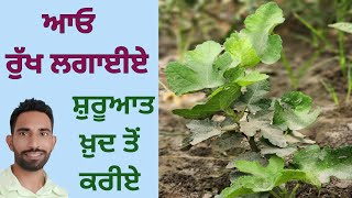 Save Tree Save Life | ਆਓ ਕੁਦਰਤ ਨਾਲ ਜੁੜੀਏ | How to Control Temperature