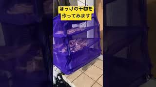 【ホッケの干物】ほっけ干しちゃうよー！！おいしくなーれ