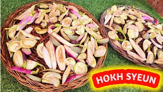 HOKH SYEUN// Dried Brinjals For Winter's/ Full Preparation// How to dry vegetables  at Home