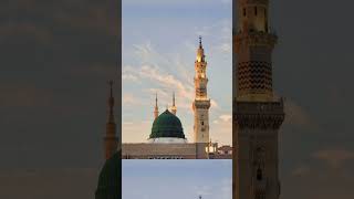 Mashallah Madina ❤🌷💕 #beautiful #mashallah #love