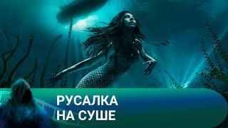 НЕОБЫЧНОЕ СУЩЕСТВО ИЗ ГЛУБИН ОКЕАНА БЫЛО ПОЙМАНО! Русалка на суше. Лучшие фильмы