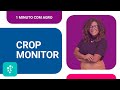 1 minuto com Agro - Crop Monitor - Serasa Experian