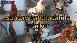 Full vlog 22/12/24 Ongole Sunday natukodala market!!నాటుకోదల మార్కెట్ ఒంగోలు