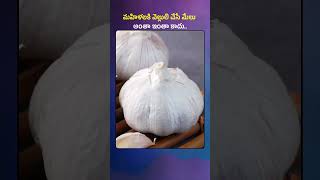 మహిళలకి వెల్లుల్లి చేసే మేలు అంతా ఇంతా కాదు.. || Garlic Benefits Especially for WOMEN || Nature Cure