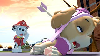 OMG!!! Skye got hit by an arrow!! Marshall HELP ME!?? Sad Story Paw Patrol 3d cartoon animation