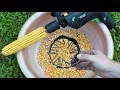 How to Make a simple Corn Sheller