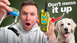 E Collar Training Steps For Beginners!